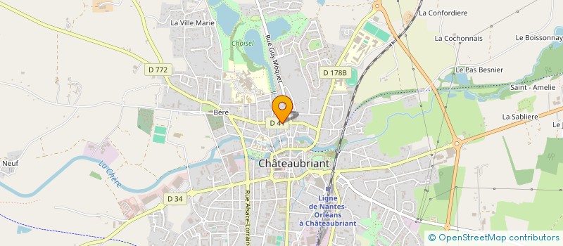 localisation de l'entreprise MADAME MARIE ANNICK SALOU  CHATEAUBRIANT