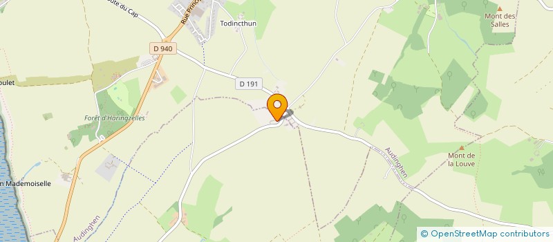 localisation de l'entreprise MADAME MARIE-ANTOINETTE DELATTRE  AUDRESSELLES