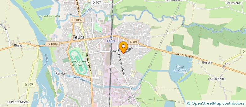 localisation de l'entreprise MADAME MARIE ASSENGUE  FEURS