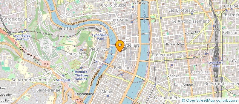 localisation de l'entreprise MADAME MARIE ASTRID BRACHET  LYON