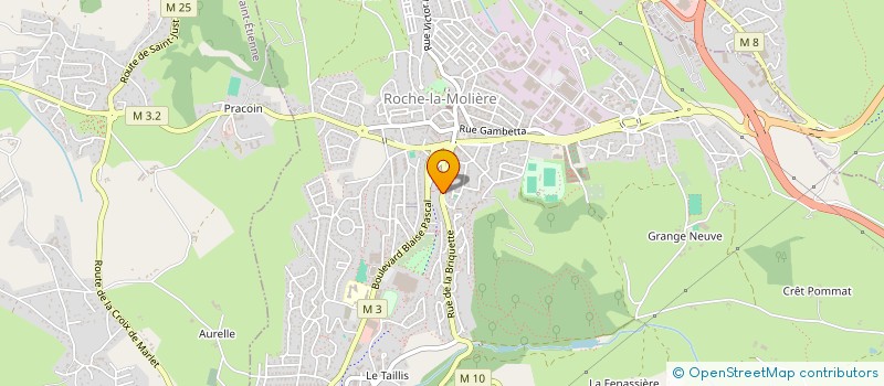 localisation de l'entreprise MADAME MARIE AVRIL  ROCHE-LA-MOLIERE