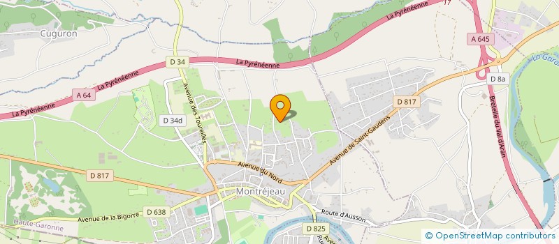 localisation de l'entreprise MADAME MARIE AYE  MONTREJEAU