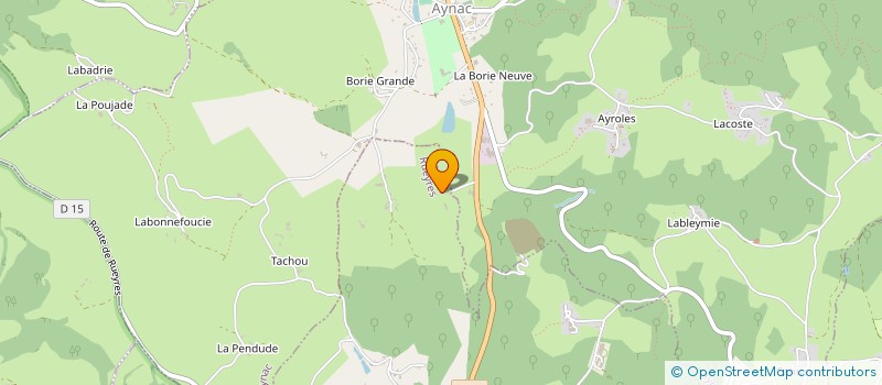 localisation de l'entreprise MADAME MARIE BERGOUGNOUX  AYNAC