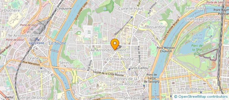 localisation de l'entreprise MADAME MARIE BERLIET  LYON