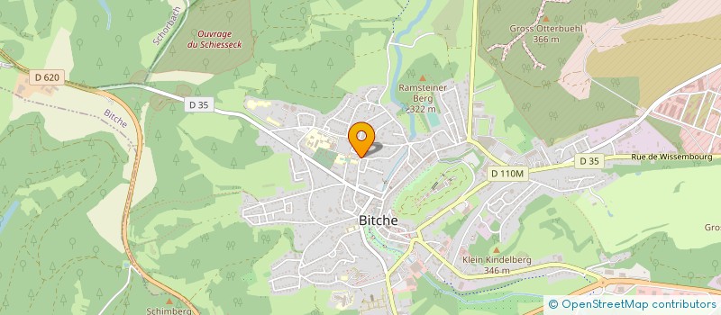 localisation de l'entreprise MADAME MARIE-BERNADETTE BLAISIUS  BITCHE