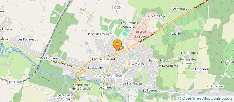 localisation de l'entreprise MADAME MARIE BERNADETTE BOURDIN  AZAY-LE-RIDEAU