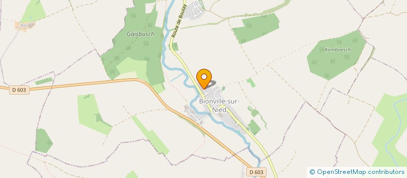 localisation de l'entreprise MADAME MARIE BEYLET  BIONVILLE-SUR-NIED