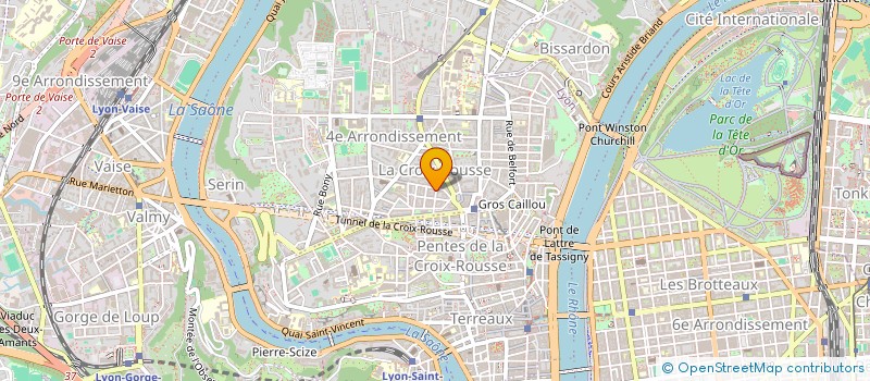localisation de l'entreprise MADAME MARIE BLANC à LYON