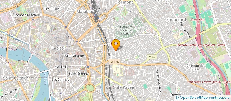 localisation de l'entreprise MADAME MARIE BLANC  TOULOUSE