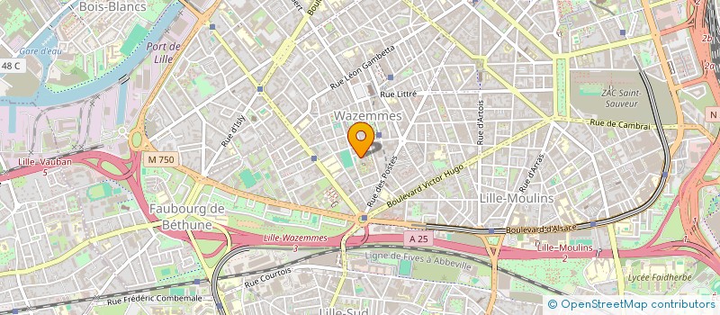 localisation de l'entreprise MADAME MARIE BONNEAU à LILLE
