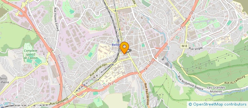 localisation de l'entreprise MADAME MARIE BORNE  SAINT-ETIENNE