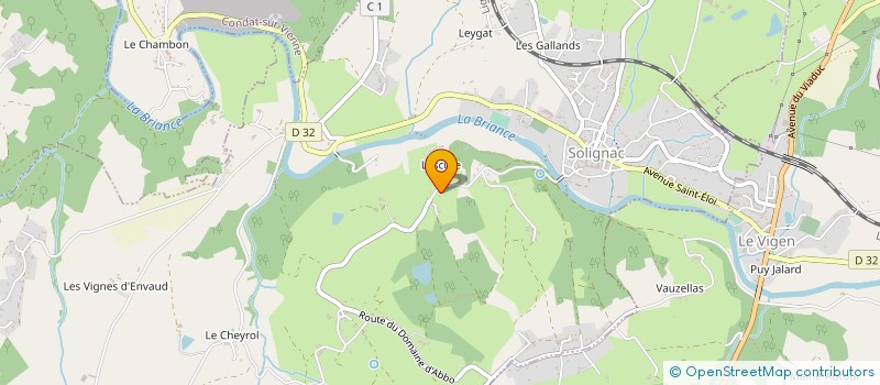 localisation de l'entreprise MADAME MARIE BOSSAVIE  SOLIGNAC