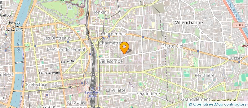 localisation de l'entreprise MADAME MARIE BOUEDEC  VILLEURBANNE