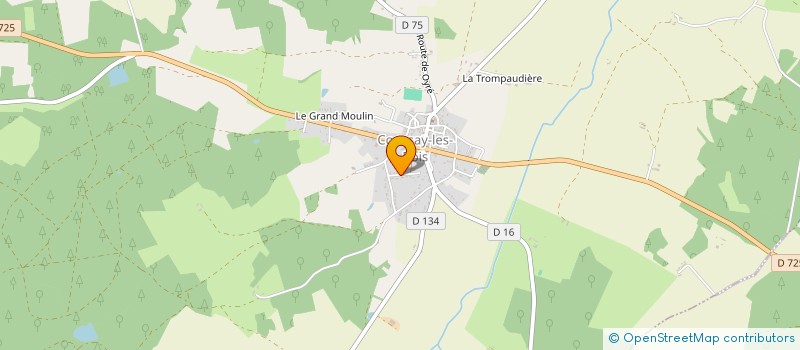 localisation de l'entreprise MADAME MARIE BOUTET  COUSSAY-LES-BOIS