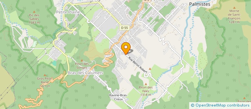 localisation de l'entreprise MADAME MARIE BOYER  LA PLAINE-DES-PALMISTES