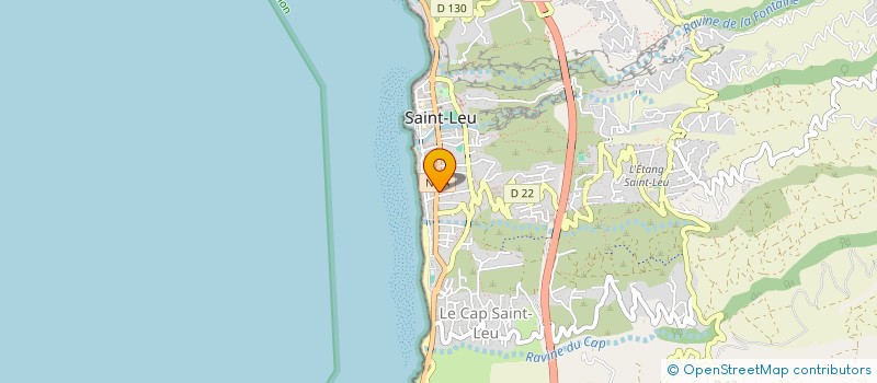 localisation de l'entreprise MADAME MARIE BRIGITTE JONQUIER  SAINT-LEU