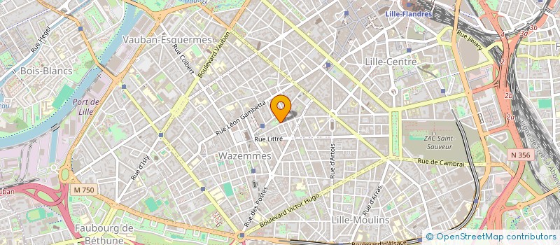 localisation de l'entreprise MADAME MARIE CARLIER  LILLE