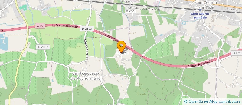 localisation de l'entreprise MADAME MARIE CASSIN  SAINT-SAUVEUR-DE-PUYNORMAND