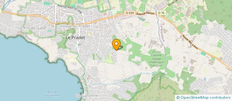 localisation de l'entreprise MADAME MARIE CAUDELI  LE PRADET