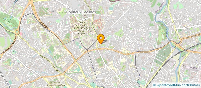 localisation de l'entreprise MADAME MARIE CECCALDI à MONTPELLIER
