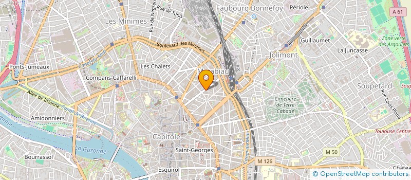 localisation de l'entreprise MADAME MARIE CECILE LE BERRE  TOULOUSE