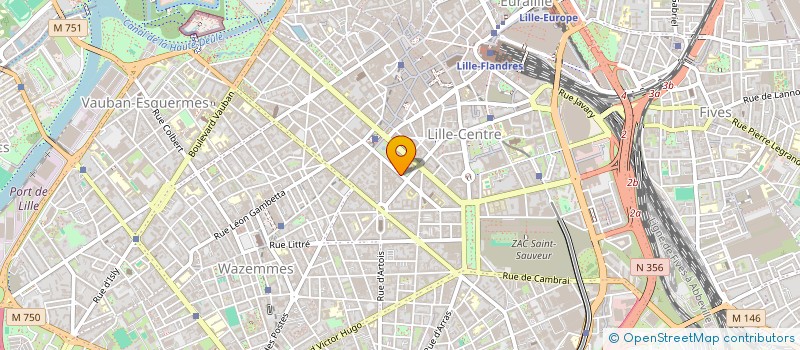 localisation de l'entreprise MADAME MARIE CHALOM à LILLE
