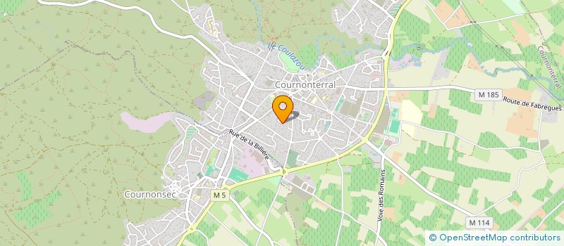 localisation de l'entreprise MADAME MARIE CHAMBOREDON  COURNONTERRAL