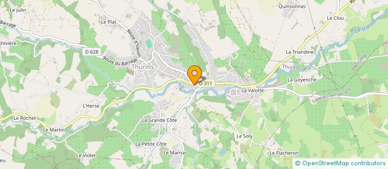 localisation de l'entreprise MADAME MARIE CHARLIN  THURINS