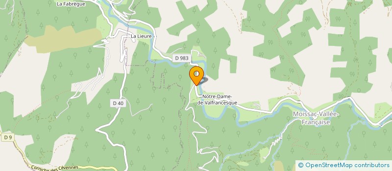 localisation de l'entreprise MADAME MARIE-CHARLOTTE BAUDRY  MOISSAC-VALLEE-FRANCAISE