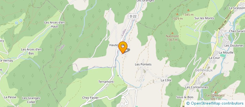 localisation de l'entreprise MADAME MARIE-CHARLOTTE MEYNET  BELLEVAUX