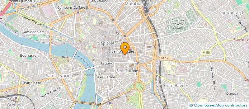 localisation de l'entreprise MADAME MARIE-CHARLOTTE RIVET  TOULOUSE