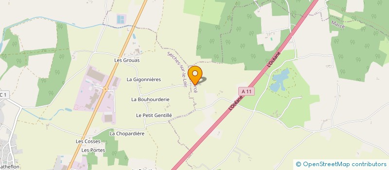 localisation de l'entreprise MADAME MARIE CHEVE  MONTREUIL-SUR-LOIR