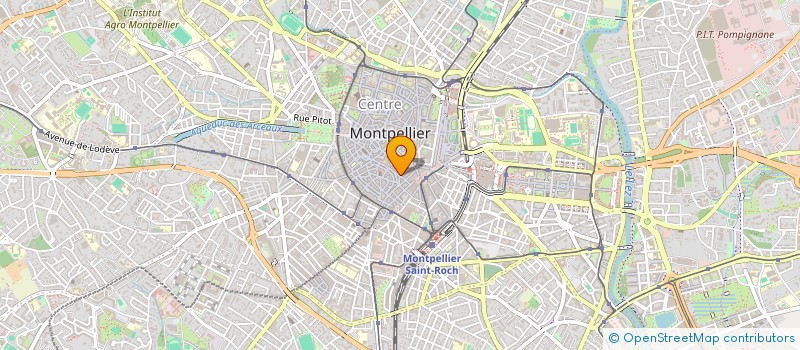 localisation de l'entreprise MADAME MARIE-CHRISTINE BERTHEZENE à MONTPELLIER