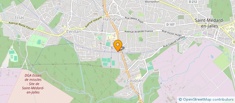 localisation de l'entreprise MADAME MARIE-CHRISTINE CHICHE  SAINT-MEDARD-EN-JALLES