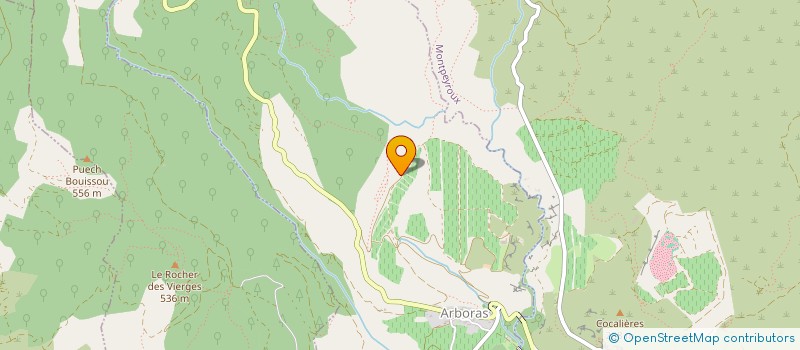 localisation de l'entreprise MADAME MARIE CHRISTINE DELIEUZE  SAINT-JEAN-DE-FOS