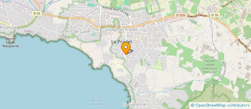 localisation de l'entreprise MADAME MARIE CHRISTINE LAVAGNA  LE PRADET