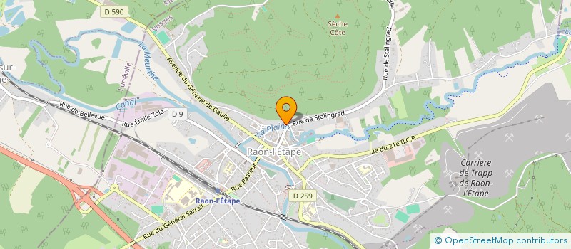 localisation de l'entreprise MADAME MARIE-CHRISTINE LEGER  RAON-L'ETAPE