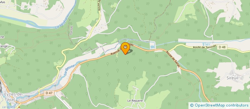 localisation de l'entreprise MADAME MARIE-CHRISTINE ROBERT  LES EYZIES