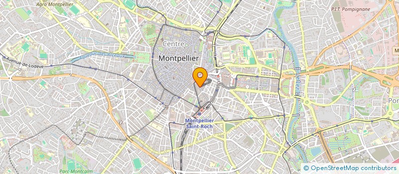 localisation de l'entreprise MADAME MARIE-CHRISTINE SALDANA à MONTPELLIER