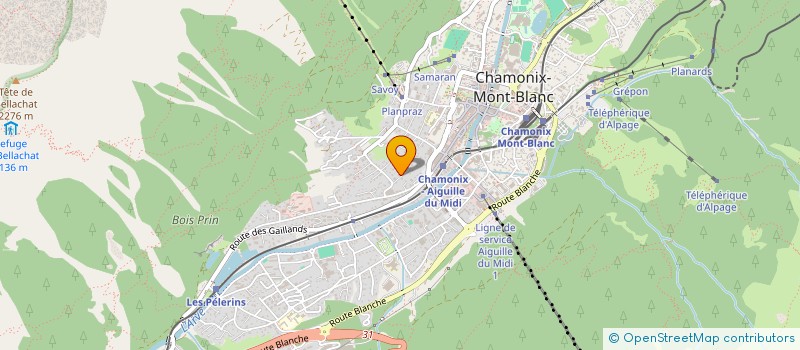 localisation de l'entreprise MADAME MARIE-CLAIRE JANSEN  LES HOUCHES