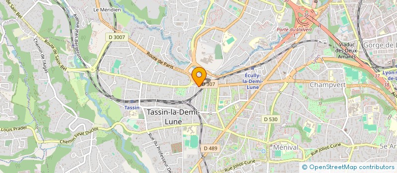 localisation de l'entreprise MADAME MARIE-CLAIRE RENAUD  TASSIN-LA-DEMI-LUNE