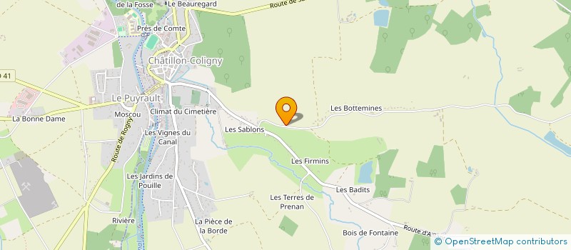 localisation de l'entreprise MADAME MARIE-CLAIRE SELLIER  CHATILLON-COLIGNY