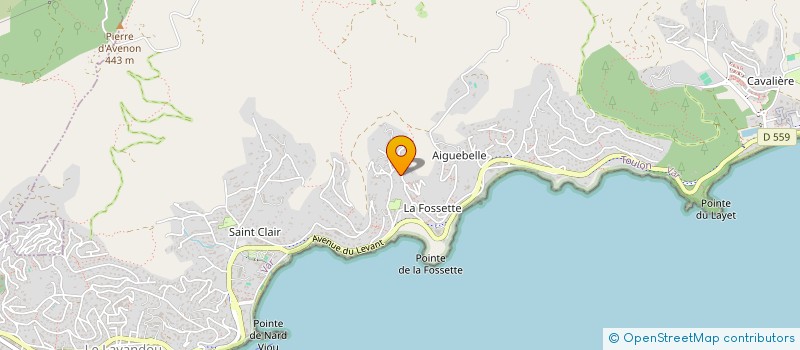 localisation de l'entreprise MADAME MARIE CLAUDE GOUTAGNEUX à LE LAVANDOU