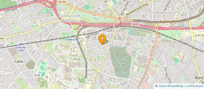 localisation de l'entreprise MADAME MARIE COLACO MAIO à LILLE