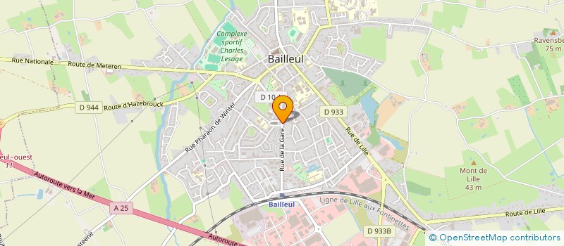 localisation de l'entreprise MADAME MARIE COUSIN à BAILLEUL
