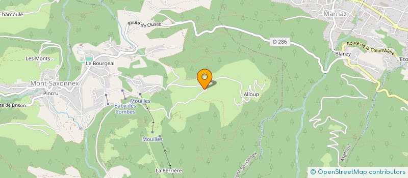 localisation de l'entreprise MADAME MARIE COUTON  MONT-SAXONNEX