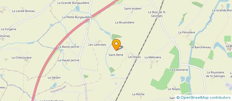 localisation de l'entreprise MADAME MARIE DAVID  CHEMILLE-EN-ANJOU