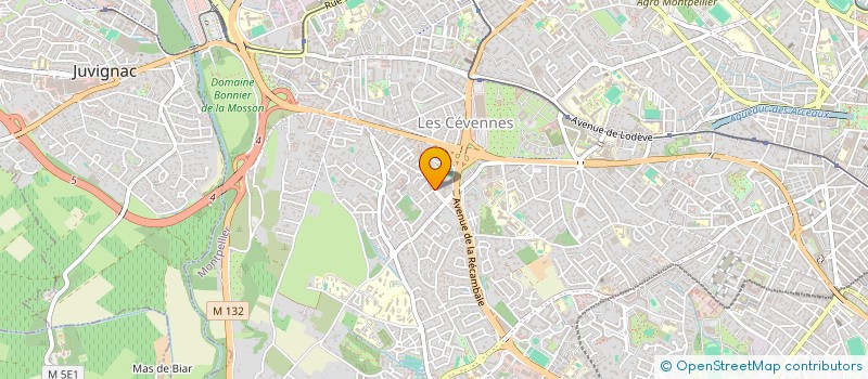 localisation de l'entreprise MADAME MARIE DECHEIX à MONTPELLIER