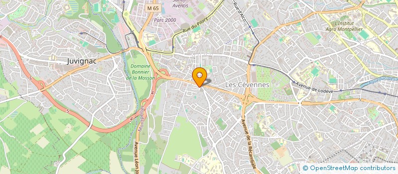 localisation de l'entreprise MADAME MARIE DELACOUDRE à MONTPELLIER