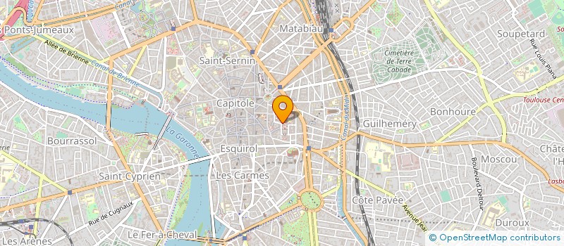 localisation de l'entreprise MADAME MARIE DELAGNEAU à TOULOUSE